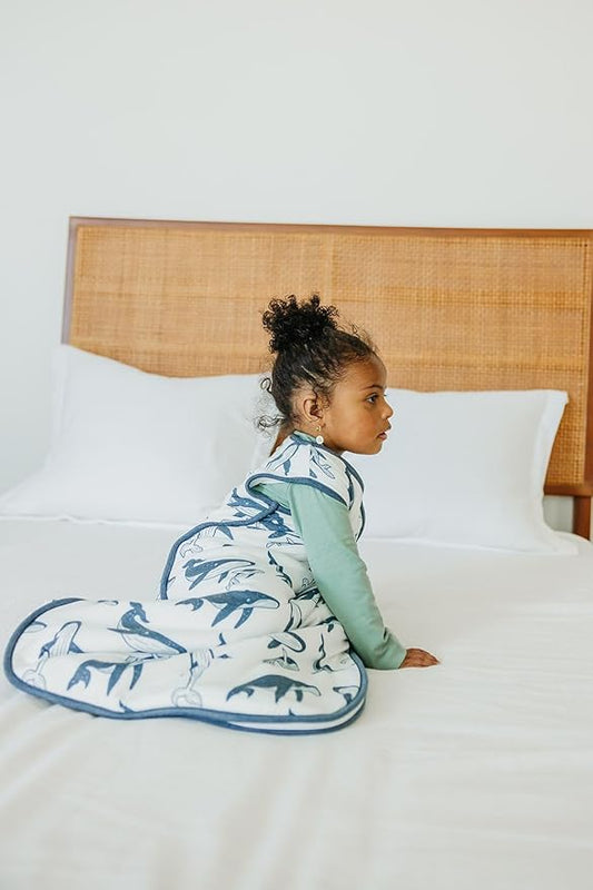 Copper Pearl Sleep Sack: Warm and Cozy Baby Bag in a Variety of Trendy Designs, Safe Alternative to Blankets, Sleeveless Baby Sleep Sack Swaddle Sizes Newborn to 24 Months - Cove