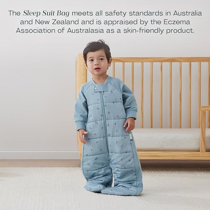 ergoPouch Sleep Suit Bag 3.5 TOG – Baby Sleep Sack & Wearable Blanket, 2-in-1 Convertible Sack to Suit with Legs for Safe Movement, Regulates Temperature Overnight, Unisex (2-4 Years, Dragonflies)