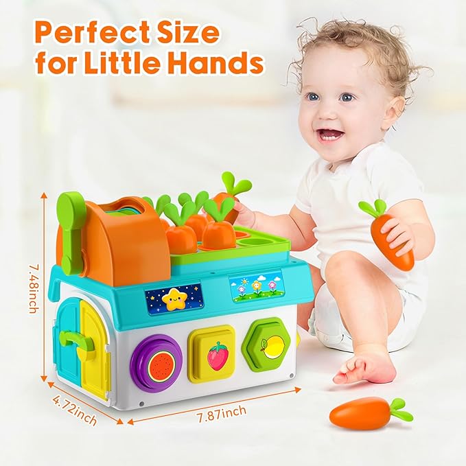 Toys for 1 Year Old Boy Girl Gifts, 1st First Birthday Boy Gifts Presents, Musical Sorting Toys with Light Sound, Montessori Educational Learning Toddler Toy for 1-2 Year Old, Fine Motor Skills