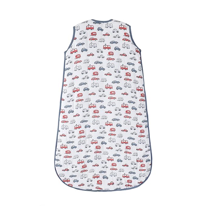 Toddler Sleep Sack, 70% Rayon from Bamboo and 30% Cotton Baby Wearable Blanket Winter 2.5 TOG Sleeping Sacks Warm Soft Car (2-4T)