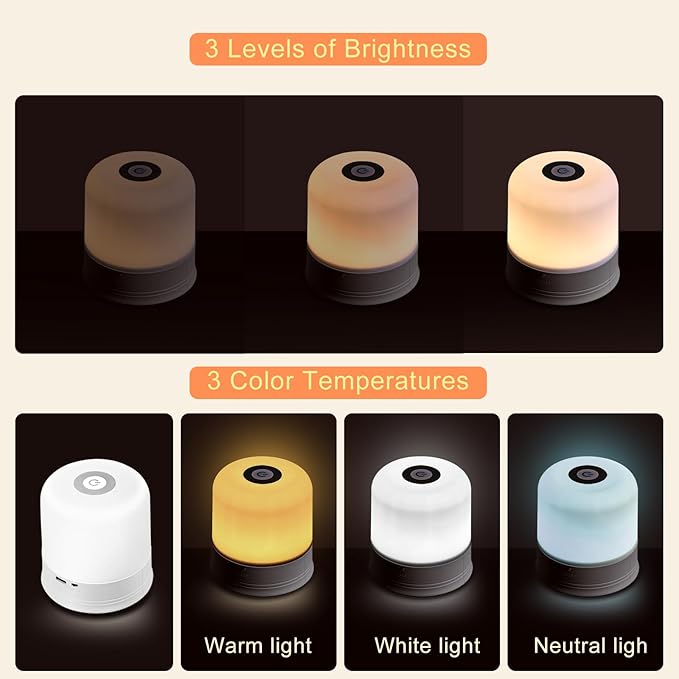 Portable Night Light, USB Rechargeable Small Desk Lamp, 3 Brightness & 1 Remote, Touch Bedside Cordless Table Lamp, Portable Night Lamp for Bedroom Living Room Home (White)