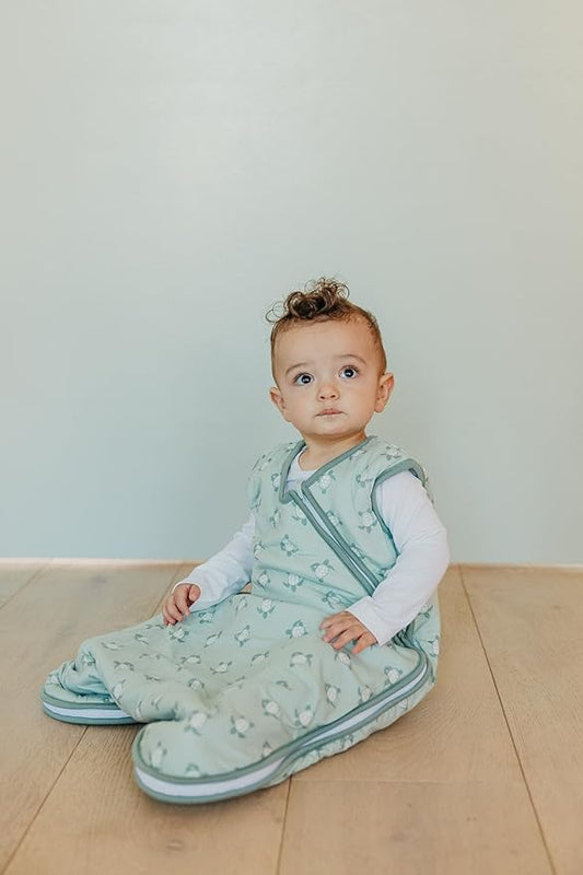 Copper Pearl Sleep Sack: Warm and Cozy Baby Bag in a Variety of Trendy Designs, Safe Alternative to Blankets, Sleeveless Baby Sleep Sack Swaddle Sizes Newborn to 24 Months - Wade