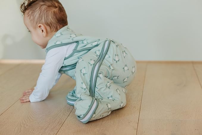 Copper Pearl Sleep Sack: Warm and Cozy Baby Bag in a Variety of Trendy Designs, Safe Alternative to Blankets, Sleeveless Baby Sleep Sack Swaddle Sizes Newborn to 24 Months - Wade