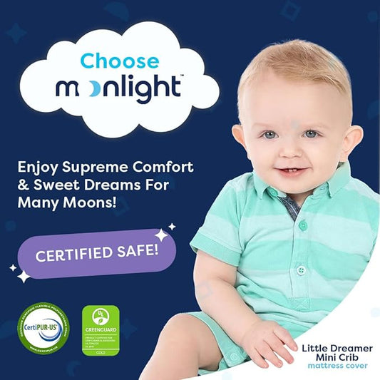 Moonlight Slumber Little Dreamer Mini Crib Mattress Cover - 100% Waterproof and Hypoallergenic - Fits 24"x 38"x 5" - Mattress Not Included