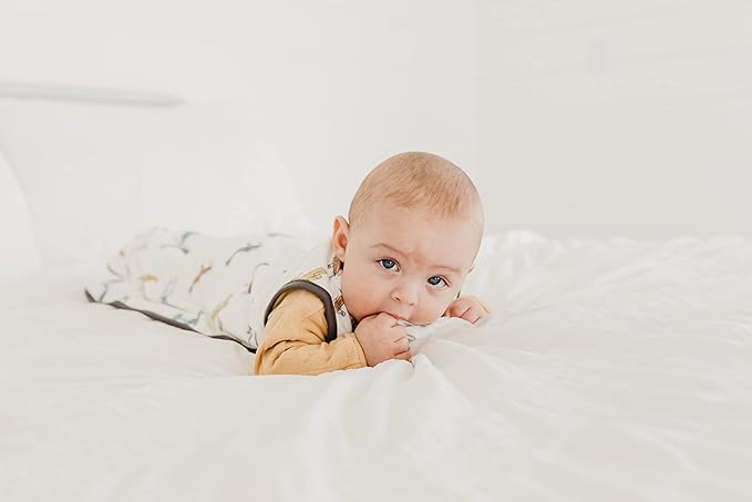 Copper Pearl Sleep Sack: Warm and Cozy Baby Bag in a Variety of Trendy Designs, Safe Alternative to Blankets, Sleeveless Baby Sleep Sack Swaddle Sizes Newborn to 24 Months - Ace