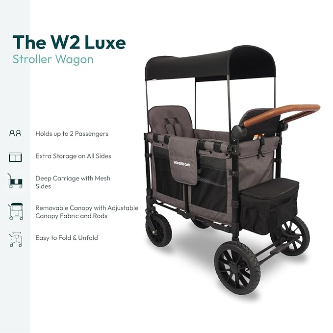 WONDERFOLD W2 Luxe Double Stroller Wagon (2 Seater) - Collapsible Wagon Stroller with Seats with Magnetic Buckle 5-Point Harnesses and Adjustable Sun Canopy, Charcoal Gray