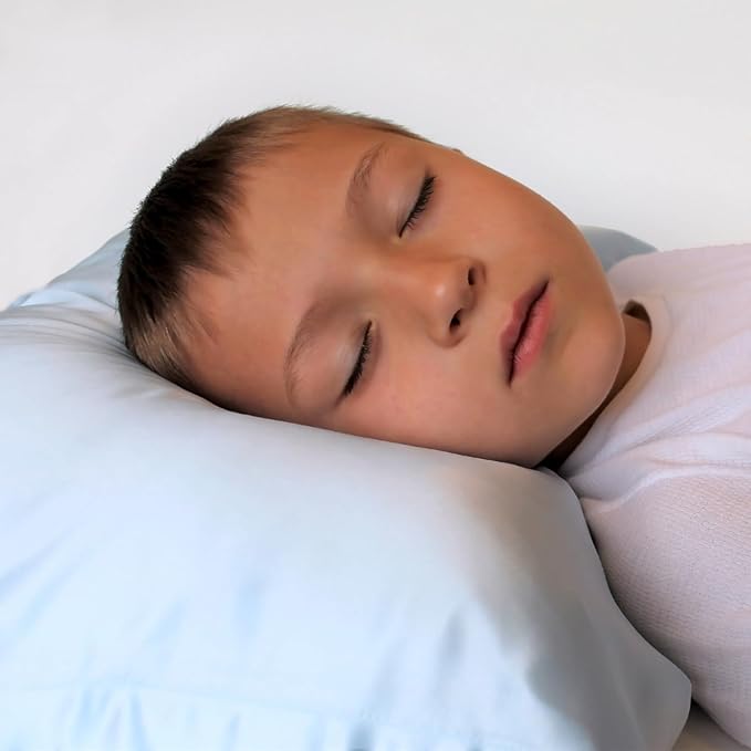 Mulberry Park 19 Momme Silk Pillowcase for Kids & Toddlers - Prevents Bed Head & Frizz, Gentle on Delicate Skin & Hair - Grade 6A Pure Mulberry Silk - 13" x 19" / Bedtime Blue