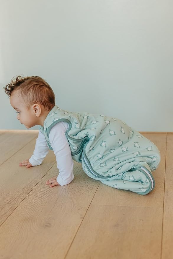 Copper Pearl Sleep Sack: Warm and Cozy Baby Bag in a Variety of Trendy Designs, Safe Alternative to Blankets, Sleeveless Baby Sleep Sack Swaddle Sizes Newborn to 24 Months - Wade