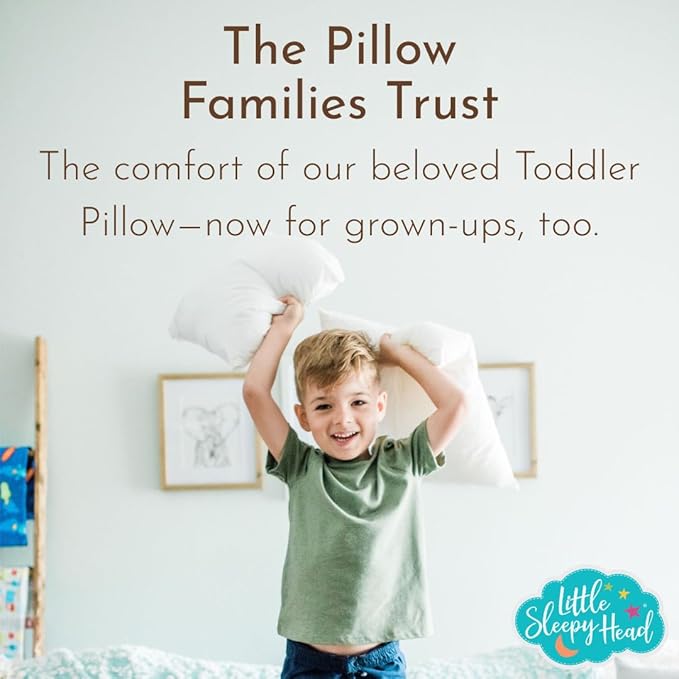 Little Sleepy Head Pillows Queen Size Set of 2, Best Pillows for Sleeping with Adjustable Loft and Hypoallergenic Down-Like Fill, Hotel Quality Comfort, Soft or Firm Support - Set of 2, 20x30