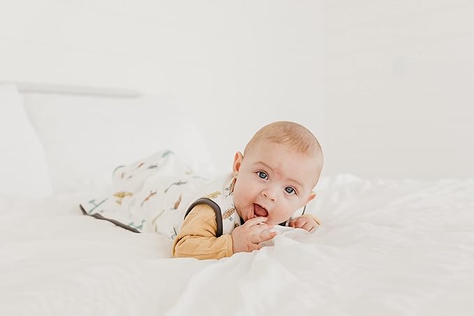 Copper Pearl Sleep Sack: Warm and Cozy Baby Bag in a Variety of Trendy Designs, Safe Alternative to Blankets, Sleeveless Baby Sleep Sack Swaddle Sizes Newborn to 24 Months - Ace