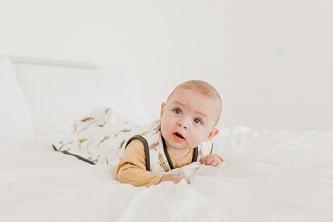 Copper Pearl Sleep Sack: Warm and Cozy Baby Bag in a Variety of Trendy Designs, Safe Alternative to Blankets, Sleeveless Baby Sleep Sack Swaddle Sizes Newborn to 24 Months - Ace