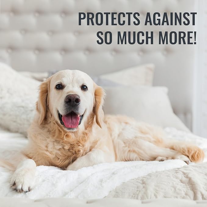 DMI Waterproof Mattress Protector, White, 36x80x6 Inch, Noiseless Plastic