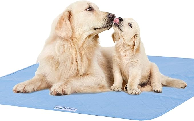 Bed Pads Washable Waterproof 34" x 36", 2 Pack Reusable Chuck Pads Incontinence Underpads Sheet Protector, Pee Pads for Adults, Elderly, Kids, Toddler and Pets, White and Blue