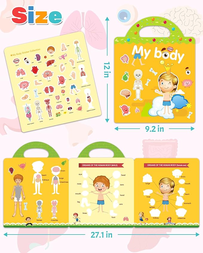 Benresive Reusable Sticker Books for Toddlers, Fun Travel Stickers for Kids, Toddler Sticker Book, Crafts Activities for Toddlers, 3 and Up Birthady Gifts - My Body