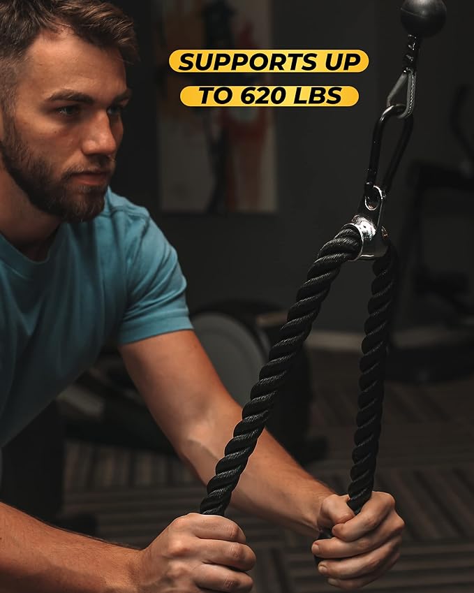 Carabiner Clip 5 PCS - Black Heavy Duty Carabiner Clip - Large Carabiner Clips - Snap Hooks - Perfect for Weight Lifting, Keychain, Dog Leashes & Gym