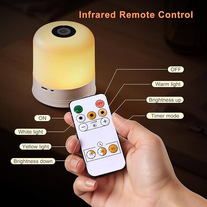 Portable Night Light, USB Rechargeable Small Desk Lamp, 3 Brightness & 1 Remote, Touch Bedside Cordless Table Lamp, Portable Night Lamp for Bedroom Living Room Home (White)