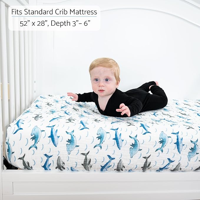 LollyBanks Fitted Crib Sheets for Boys, Soft 100% Cotton Baby Boy Sheet, Fits Standard Size Mattress 28 in x 52 in, Breathable Muslin Crib Sheet 1 Pack (Sharks Print)