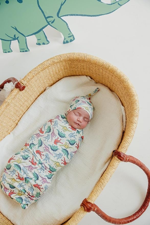 Copper Pearl Baby Swaddle Blanket - Premium Knit Baby Blanket, Large Soft Stretchy Receiving Blankets for Baby Boy and Girl, Swaddles for Newborn, Infant, and Toddler (Dinosaurs of Jurassic Park)