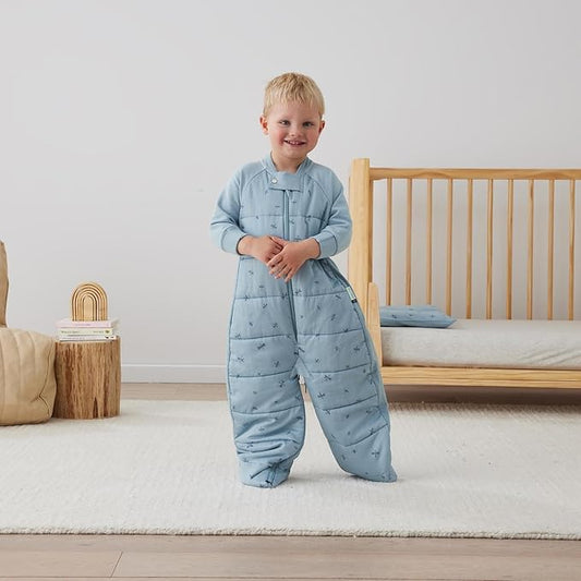 ergoPouch Sleep Suit Bag 2.5 TOG – Baby Sleep Sack & Wearable Blanket, 2-in-1 Convertible Sack to Suit with Legs for Safe Movement, Regulates Temperature Overnight, Unisex (2-4 Years, Dragonflies)