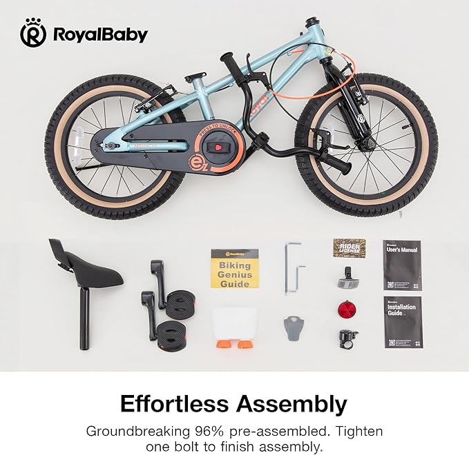 RoyalBaby EZ Kids Bike, Lightweight Aluminum 2-in-1 Balance to Pedal Bike for Beginners Easy Learn Biking, Boys Girls