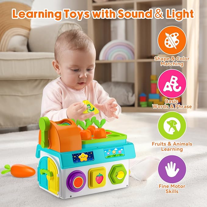 Toys for 1 Year Old Boy Girl Gifts, 1st First Birthday Boy Gifts Presents, Musical Sorting Toys with Light Sound, Montessori Educational Learning Toddler Toy for 1-2 Year Old, Fine Motor Skills