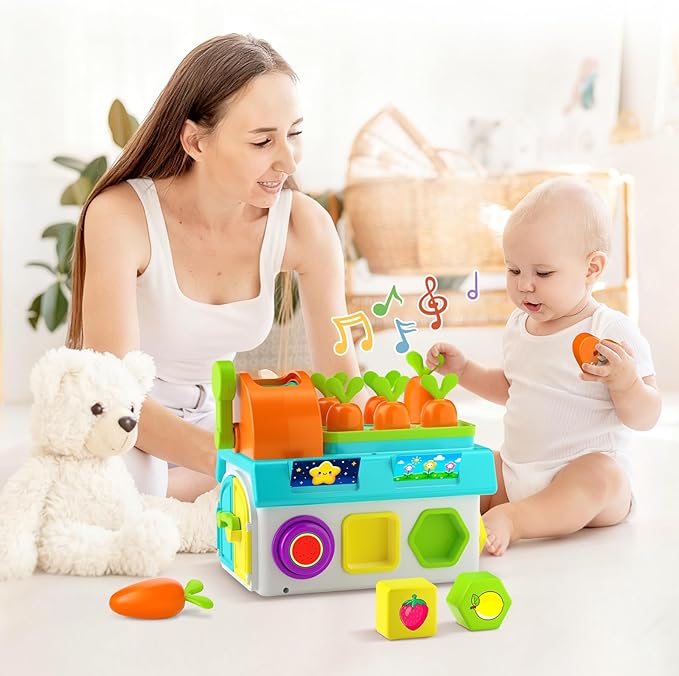 Toys for 1 Year Old Boy Girl Gifts, 1st First Birthday Boy Gifts Presents, Musical Sorting Toys with Light Sound, Montessori Educational Learning Toddler Toy for 1-2 Year Old, Fine Motor Skills