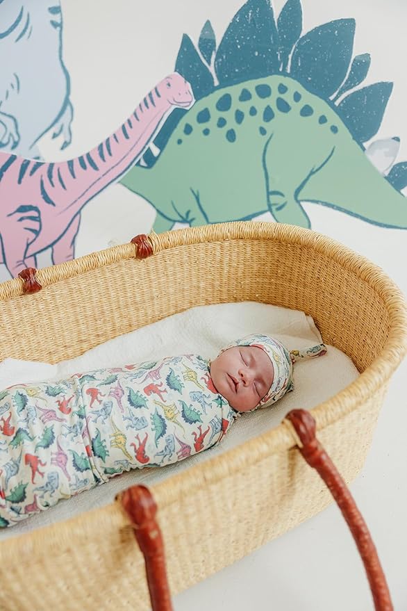 Copper Pearl Baby Swaddle Blanket - Premium Knit Baby Blanket, Large Soft Stretchy Receiving Blankets for Baby Boy and Girl, Swaddles for Newborn, Infant, and Toddler (Dinosaurs of Jurassic Park)
