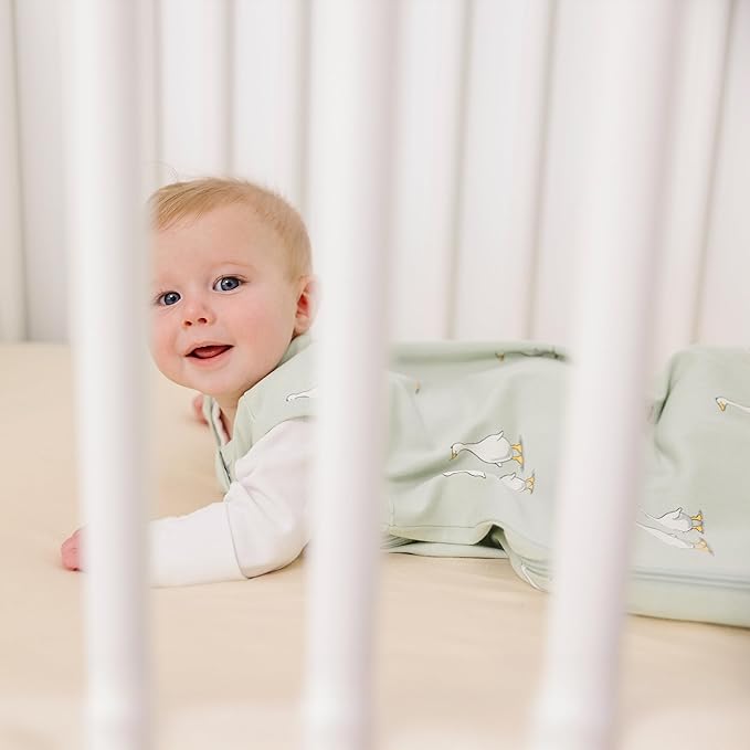 Ecolino Organic Cotton Baby Sleep Sack - 2-Way Zipper Baby Wearable Blanket - Toddler Sleeping Bag Sack - 18-36 Months - Goose