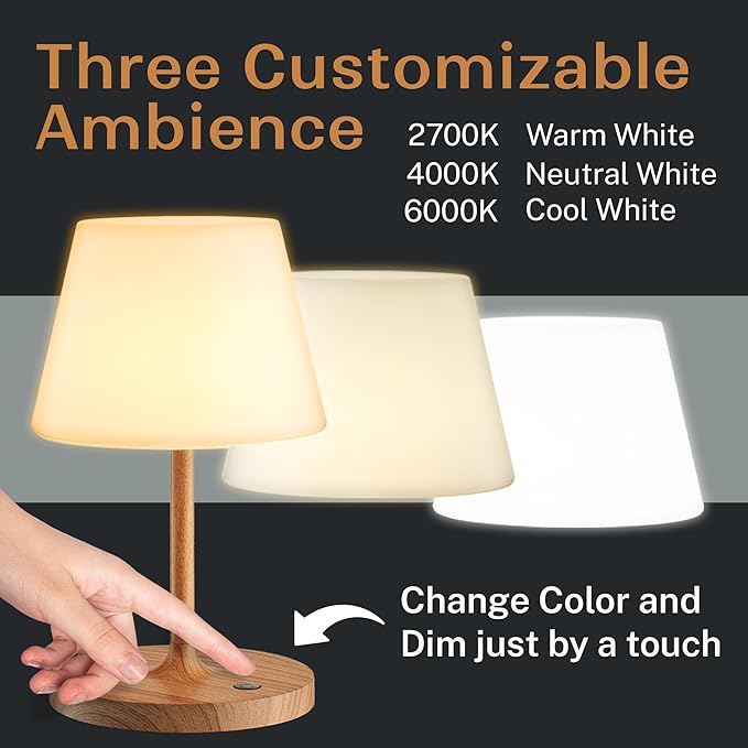 Cordless Lamp, 5000mAh Battery Operated Rechargeable Table Lamp with Power Bank, Touch Dimmable 3 Color Temperatures, IP44 Waterproof Shower Lamp for Kitchen, Bathroom, Indoor Or Outdoor Use 9.6in