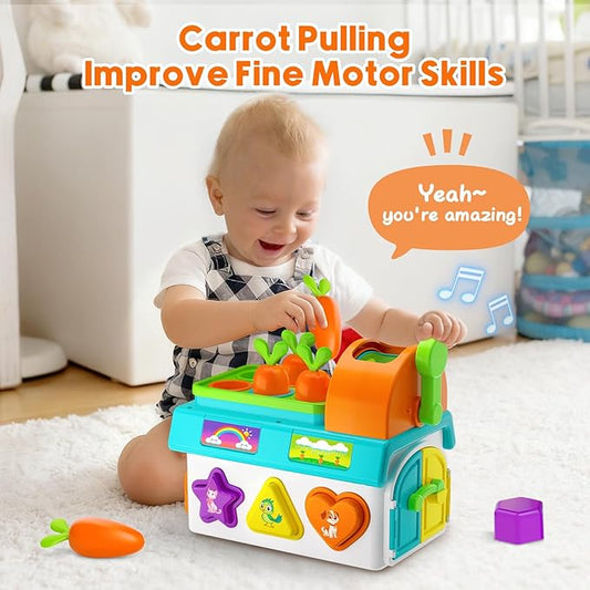 Toys for 1 Year Old Boy Girl Gifts, 1st First Birthday Boy Gifts Presents, Musical Sorting Toys with Light Sound, Montessori Educational Learning Toddler Toy for 1-2 Year Old, Fine Motor Skills