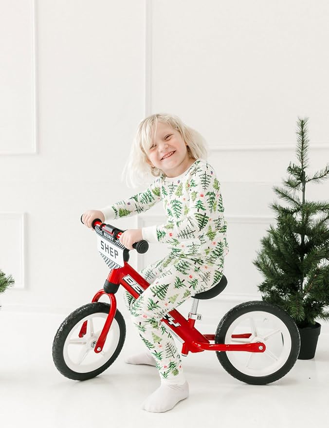 besrey Toddler Balance Bike 2 Year Old: All-Metal Frame + 12" Light-Up Wheels + Personalize Plate & 4 Sets of Stickers, Kids Gift Bike with Adjustable Seat for Boys Girls Age 2 3 4 5