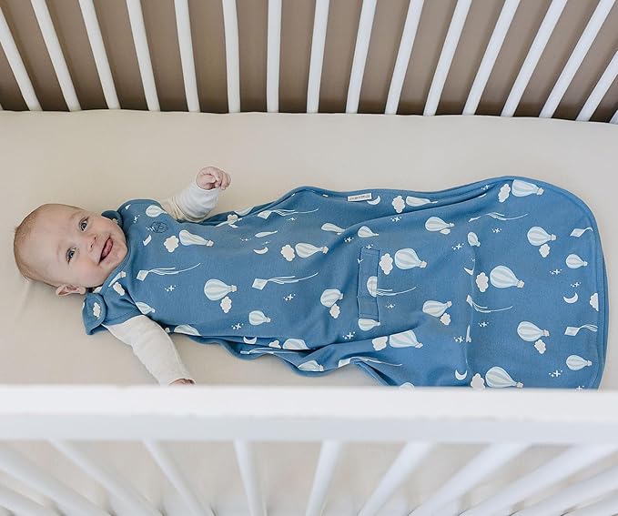 Woolino Toddler Sleeping Bag, 4 Season, Merino Wool and Organic Cotton, Baby Sleep Bag or Sack, 2-4 Years, Hot Air Balloon