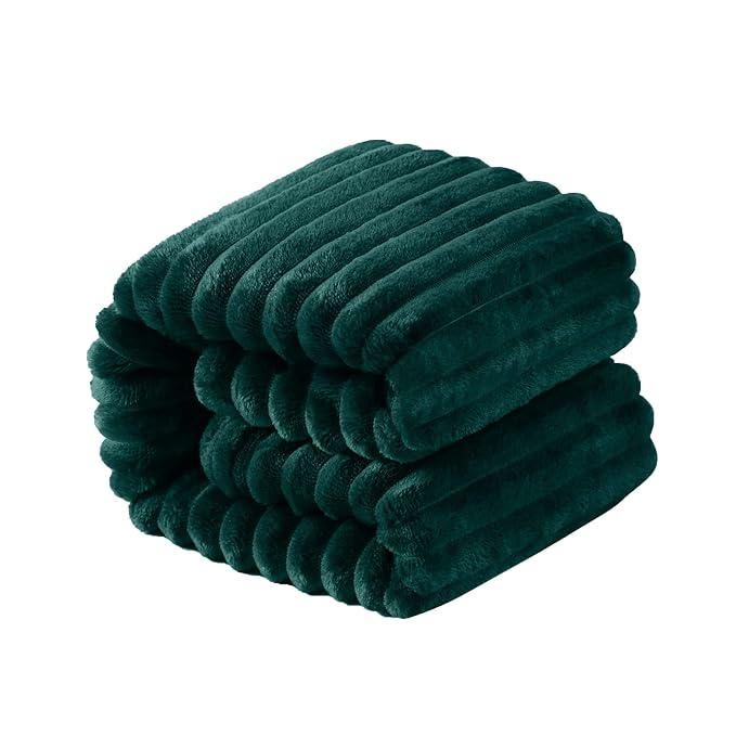 NTBAY Plush Flannel Twin Bed Blanket, 60X80 Inches Soft and Warm Lightweight Bed Blanket with Striped Texture for Couch Sofa Bed All Seasons, 60"x80", Dark Green