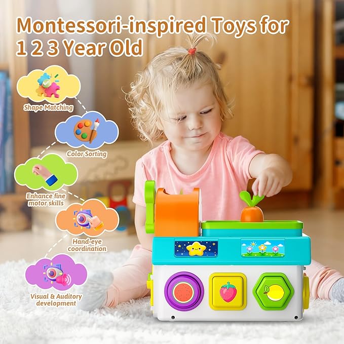 Montessori Toys for 1-2 Year Old Boys Girls, 1st First Birthday Gift for One Year Old, Baby 12-18 Month Educational Shape Matching Game w/ Lights & Sound, Fine Motor Learning Toys for Toddlers 1-3