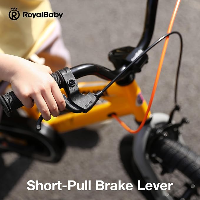RoyalBaby Kids Bike Freestyle Classic & EZ Balance Pedal Switchable Bicycle, 12 14 16 18 Inch, 3-10 Years Toddler to Big Kids