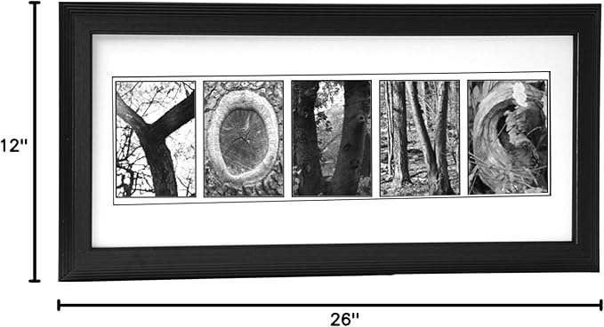 Creative Letter Art Personalized 12 by 26 inch Framed Sign in Nature Themed Alphabet Photograph Letters for Personalized Wedding Gift, Graduation, Anniversary, Childrens Name or any Occasion
