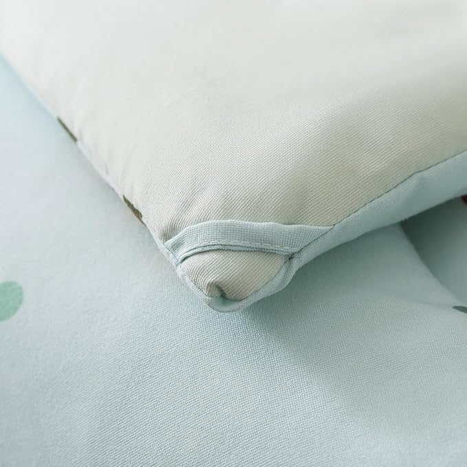 Caressma 5 Pieces Twin Size Comforter Set Bed-in-a-Bag For baby & Kids,Soft Comforter Print Lovely Green Dinosaurs.Includes Comforter,Fitted Sheet,Flat Sheet,Pillow Case & Pillow Shame For All Seasons