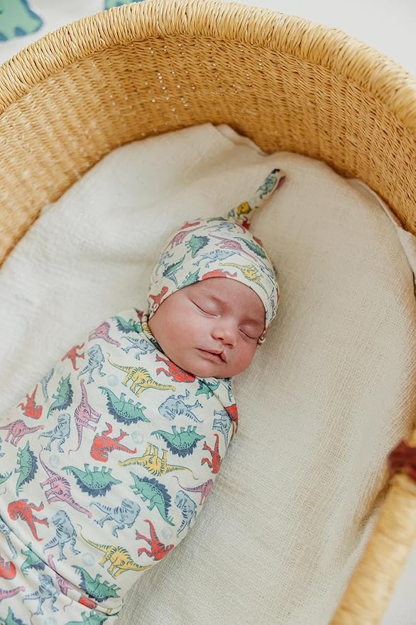 Copper Pearl Baby Swaddle Blanket - Premium Knit Baby Blanket, Large Soft Stretchy Receiving Blankets for Baby Boy and Girl, Swaddles for Newborn, Infant, and Toddler (Dinosaurs of Jurassic Park)