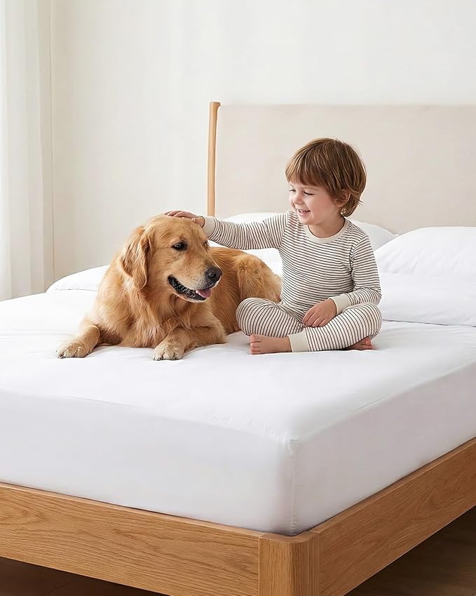60"x80" Queen Mattress Protector(6-10 in. Deep) Waterproof Mattress Cover Zippered Soft Breathable Skin-Safe Encasement for Queen Bed Sheets