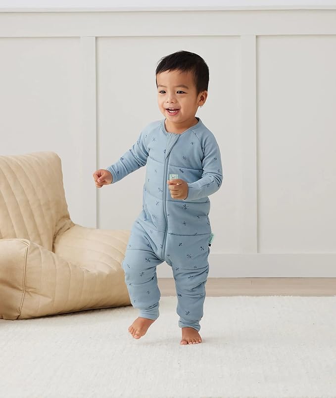 ergoPouch Sleep Onesie 2.5 TOG – Warm Baby Romper & Sleep Layer with Full-Zip, Guarding Against Blankets, Breathable & Movement-Friendly, Ideal for Transitional Sleeping (12-24 Months, Dragonflies)
