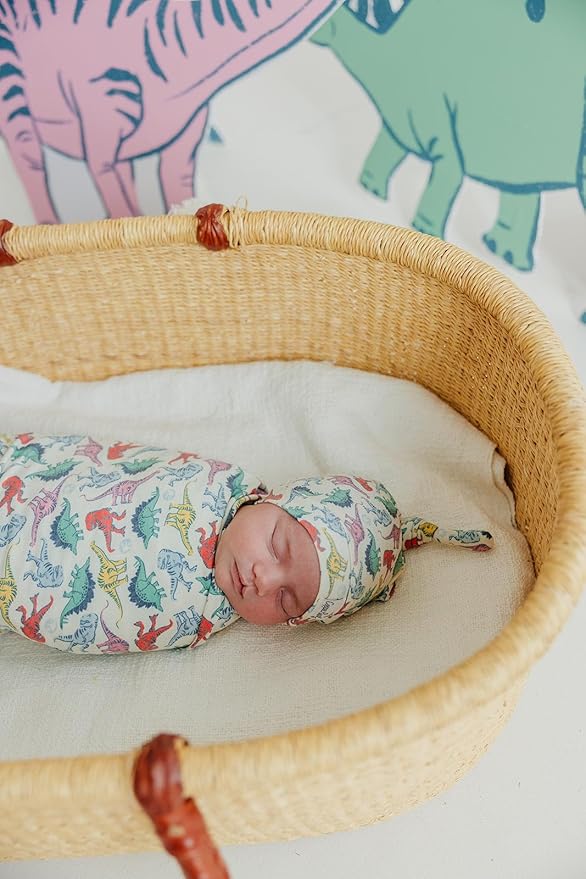 Copper Pearl Baby Swaddle Blanket - Premium Knit Baby Blanket, Large Soft Stretchy Receiving Blankets for Baby Boy and Girl, Swaddles for Newborn, Infant, and Toddler (Dinosaurs of Jurassic Park)