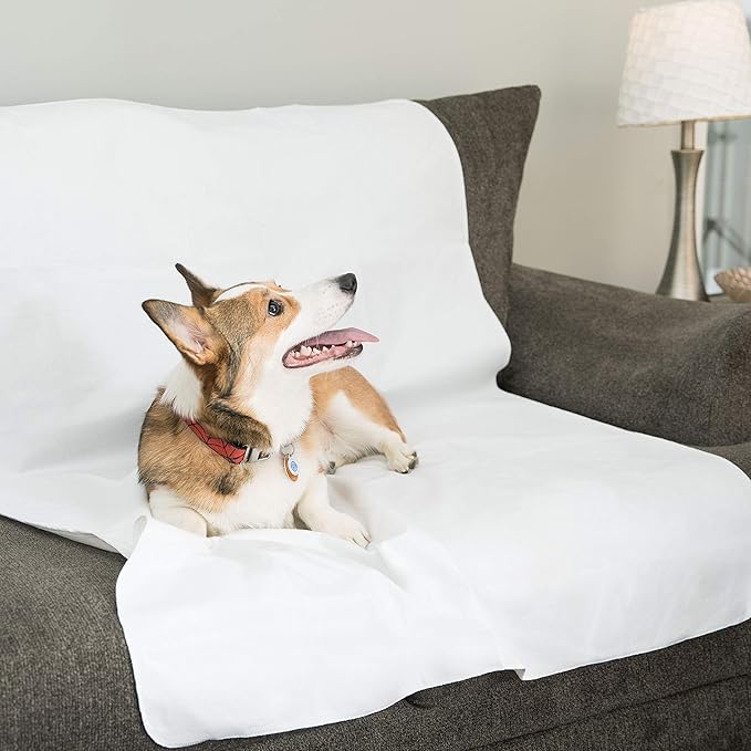 DMI Waterproof Sheet, Mattress Protector and Cover, Reversible, Flat Fit, White, 36 x 72