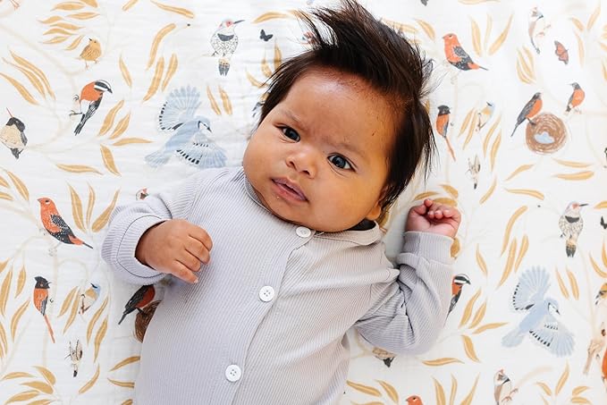 Clementine Kids Crib Sheets (for The Birds)