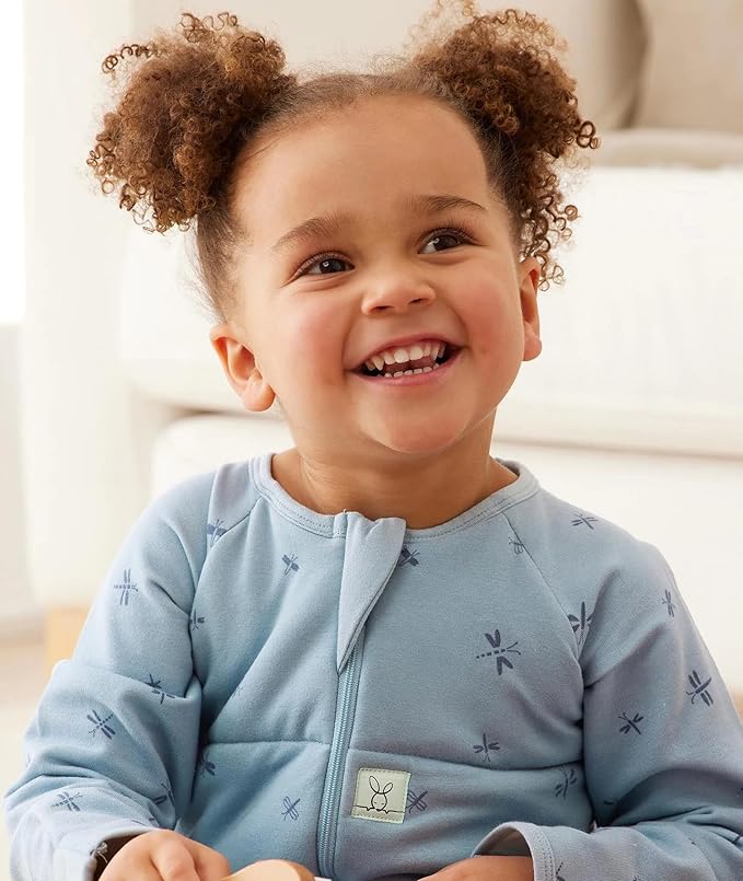 ergoPouch Sleep Onesie 2.5 TOG – Warm Baby Romper & Sleep Layer with Full-Zip, Guarding Against Blankets, Breathable & Movement-Friendly, Ideal for Transitional Sleeping (2-3 Years, Dragonflies)