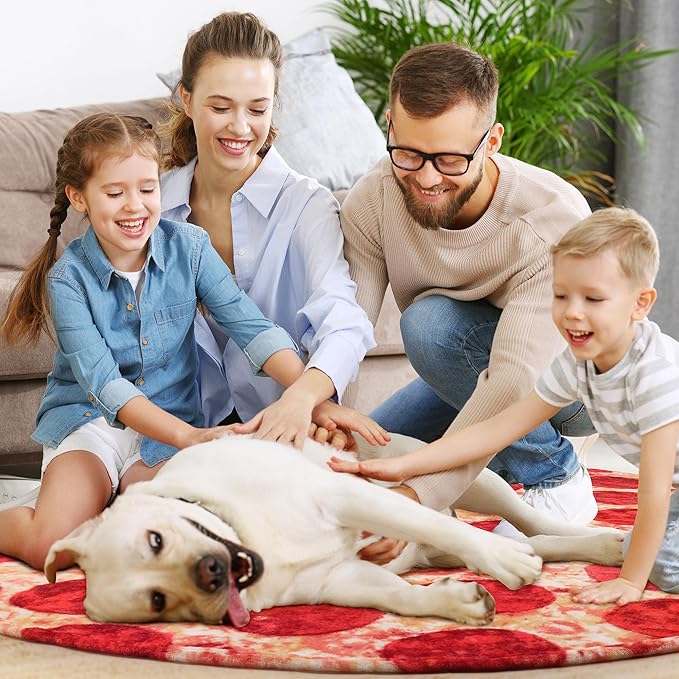 SeaRoomy Pizzas Blanket, Wrap Throw Food Blanket, Novelty Funny Flannel Round Blankets Funny Gifts for Teens Boys and Girls