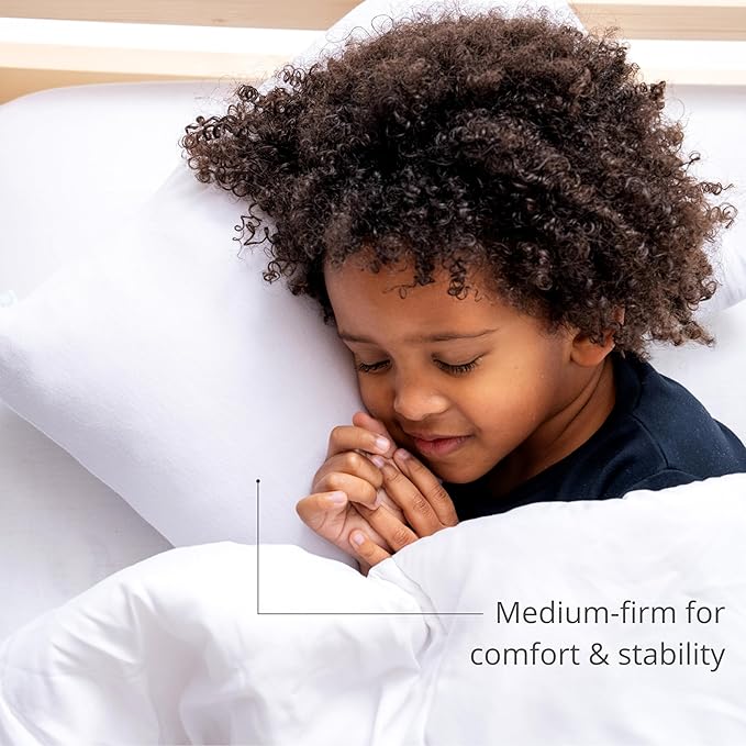 Dreamland Baby Premium Toddler Pillow and Dusty Pink Pillowcase, 13 x 18. Machine Washable, Ergonomic Kids Pillow + Ultra Soft Viscose Pillowcase. Mom-Owned US Business, Premium Materials