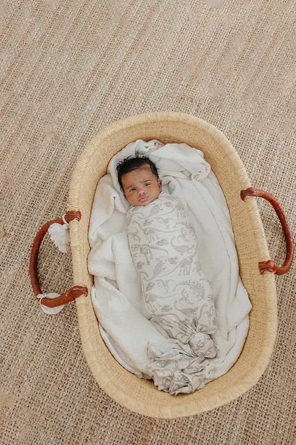 Copper Pearl Baby Swaddle Blanket - Premium Knit Baby Blanket, Large Soft Stretchy Receiving Blankets for Baby Boy and Girl, Swaddles for Newborn, Infant, and Toddler (Jurassic Park Fossils)
