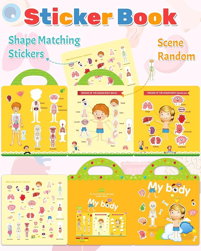 Benresive Reusable Sticker Books for Toddlers, Fun Travel Stickers for Kids, Toddler Sticker Book, Crafts Activities for Toddlers, 3 and Up Birthady Gifts - My Body