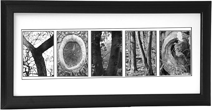 Creative Letter Art Personalized 12 by 26 inch Framed Sign in Nature Themed Alphabet Photograph Letters for Personalized Wedding Gift, Graduation, Anniversary, Childrens Name or any Occasion