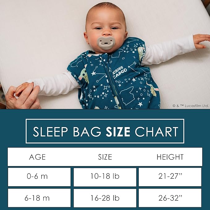 Milk Snob Disney Baby Sleeping Sack, Sleeveless Sleep Bag and Wearable Zip Up Blanket for Girl and Boy, Newborn Infant Shower